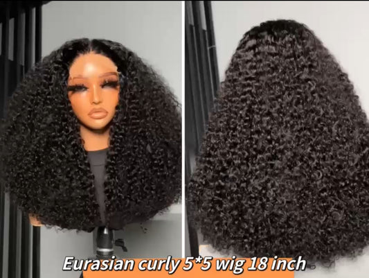 SDD EURASIAN CURLY CLOSURE
