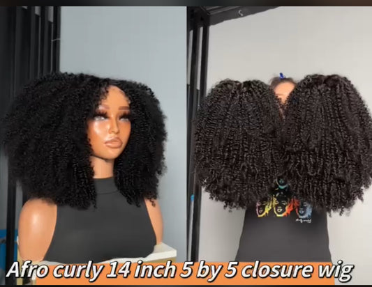 SDD Afro kinky curly Human Hair Wig | 100% Human Hair, Glue-less Lace